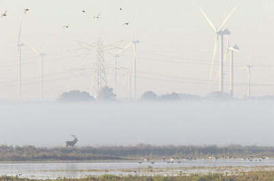 BUITEN BEELD Foto: 438077