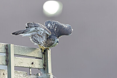 BUITEN BEELD Foto: 438091