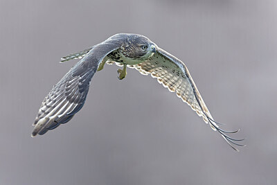 BUITEN BEELD Foto: 438092