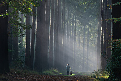 BUITEN BEELD Foto: 438183