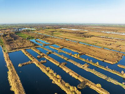 BUITEN BEELD Foto: 438224