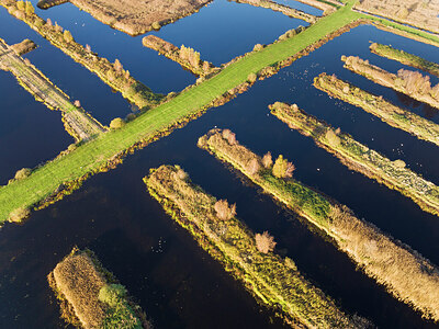 BUITEN BEELD Foto: 438225