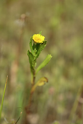 BUITEN BEELD Foto: 438293
