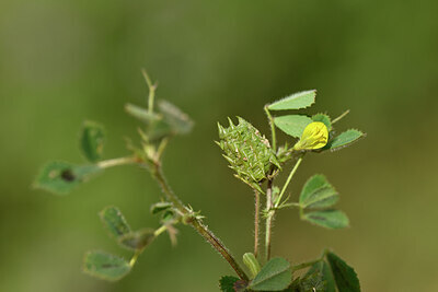 BUITEN BEELD Foto: 438312