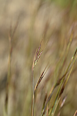 BUITEN BEELD Foto: 438316