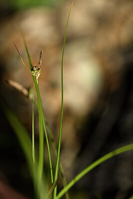 BUITEN BEELD Foto: 438321