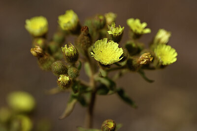 BUITEN BEELD Foto: 438339