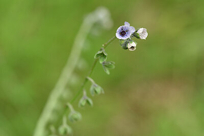 BUITEN BEELD Foto: 438347