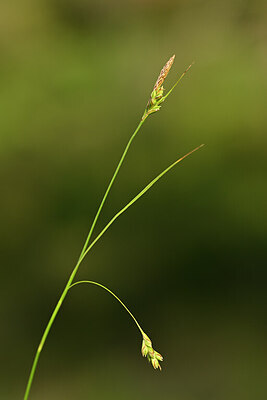 BUITEN BEELD Foto: 438355