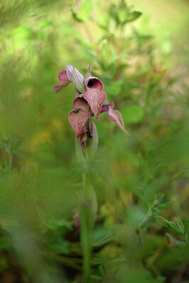 BUITEN BEELD Foto: 438365