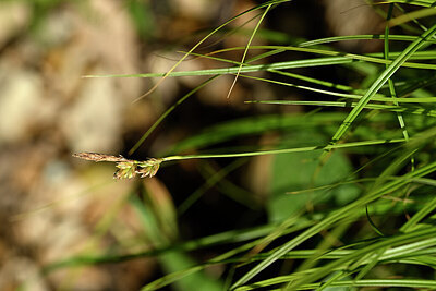 BUITEN BEELD Foto: 438376