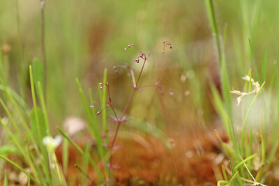 BUITEN BEELD Foto: 438380