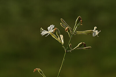 BUITEN BEELD Foto: 438385