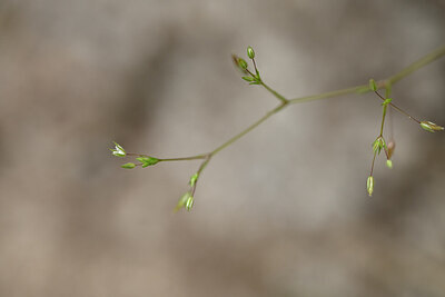 BUITEN BEELD Foto: 438394