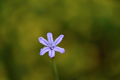 BUITEN BEELD Foto: 438398