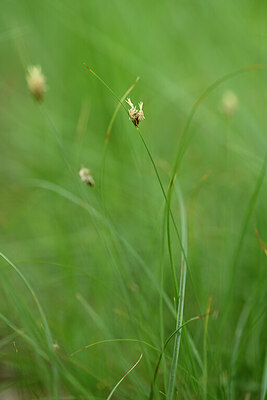 BUITEN BEELD Foto: 438407