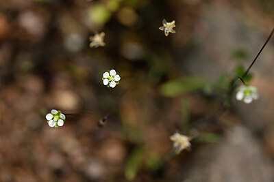 BUITEN BEELD Foto: 438434
