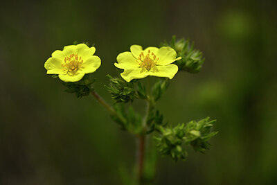 BUITEN BEELD Foto: 438437