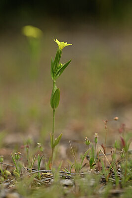 BUITEN BEELD Foto: 438457