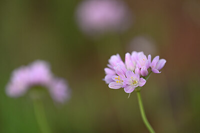 BUITEN BEELD Foto: 438466