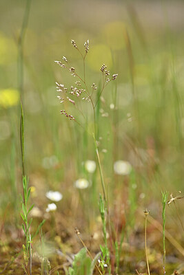 BUITEN BEELD Foto: 438500