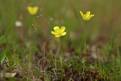BUITEN BEELD Foto: 438503
