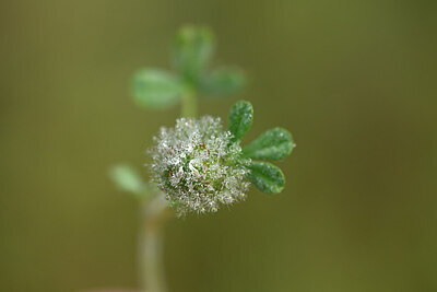 BUITEN BEELD Foto: 438523