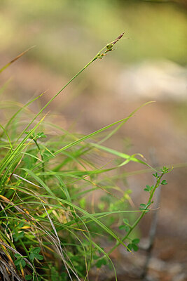 BUITEN BEELD Foto: 438524