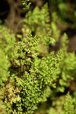 BUITEN BEELD Foto: 438528