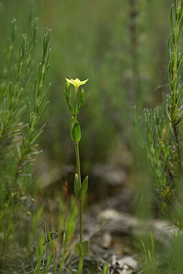 BUITEN BEELD Foto: 438532