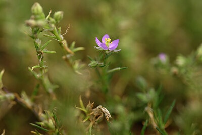 BUITEN BEELD Foto: 438535