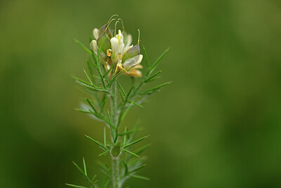 BUITEN BEELD Foto: 438556