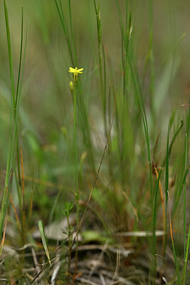 BUITEN BEELD Foto: 438559