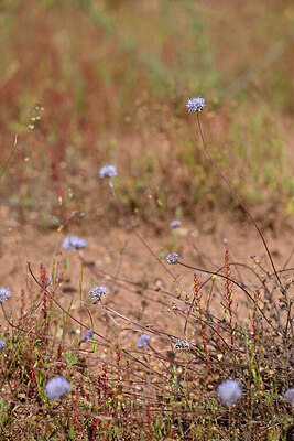BUITEN BEELD Foto: 438561