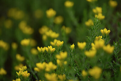 BUITEN BEELD Foto: 438566