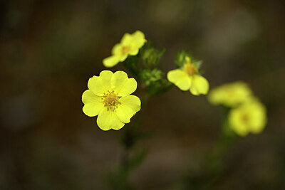 BUITEN BEELD Foto: 438571