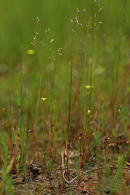 BUITEN BEELD Foto: 438587