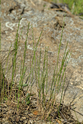 BUITEN BEELD Foto: 438627