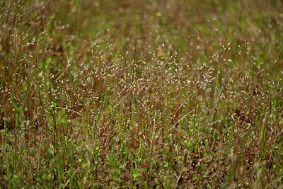 BUITEN BEELD Foto: 438636