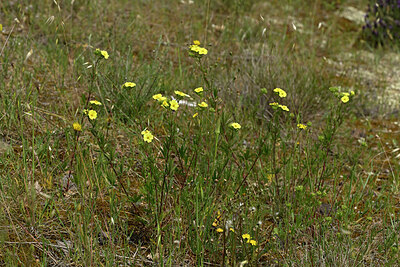 BUITEN BEELD Foto: 438668