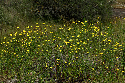 BUITEN BEELD Foto: 438682