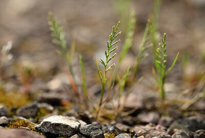 BUITEN BEELD Foto: 438732