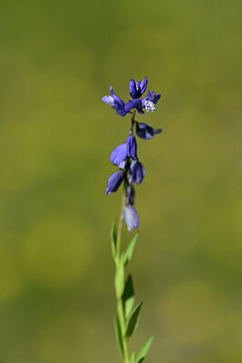 BUITEN BEELD Foto: 438777
