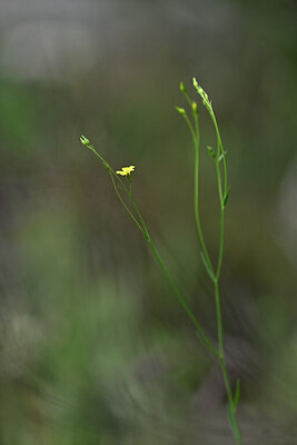BUITEN BEELD Foto: 438830