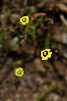 BUITEN BEELD Foto: 438853