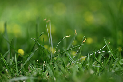 BUITEN BEELD Foto: 438869