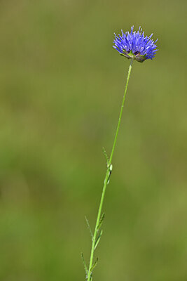 BUITEN BEELD Foto: 438873