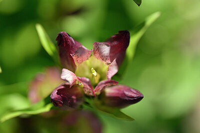 BUITEN BEELD Foto: 438878