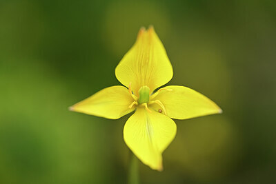 BUITEN BEELD Foto: 438881