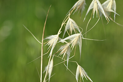 BUITEN BEELD Foto: 438919